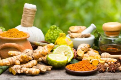 Ayurveda is native to India. But the relevance of the art of ayurveda is still prevalent in today's times or not? Let's find out.